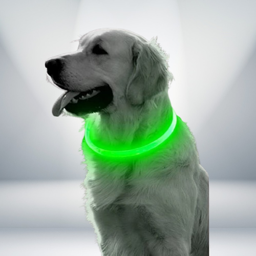 GlowSafe Pet Collar