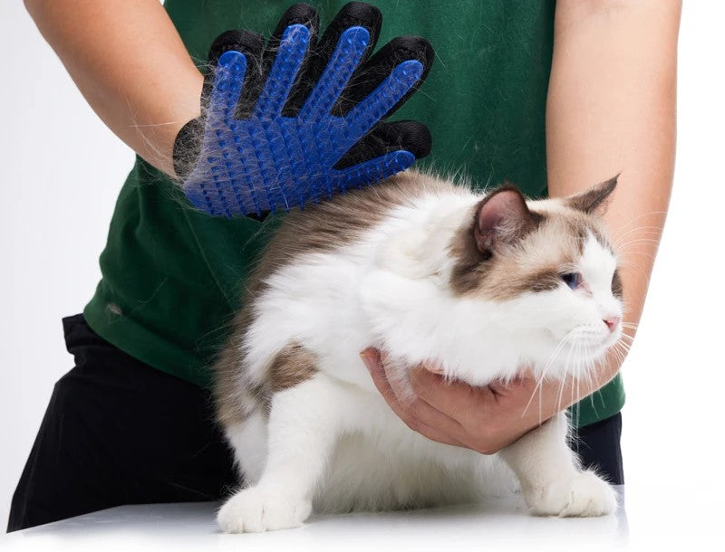 FurGrooming Brush Glove